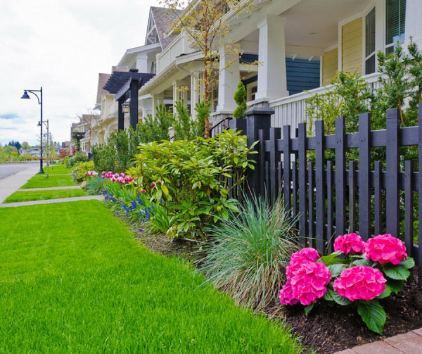 landscaping like a pro